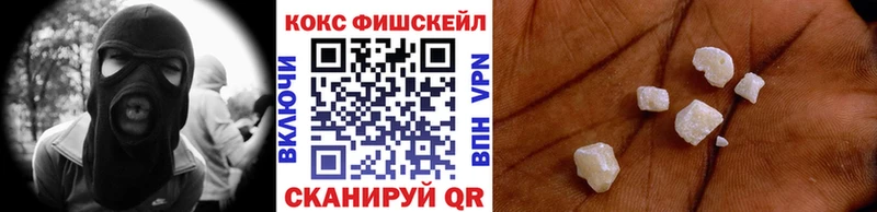 где купить наркоту  Михайловск  Кокаин FishScale 
