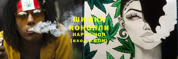 скорость Богородицк