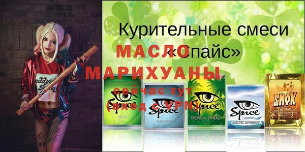 молекула духа Богородск