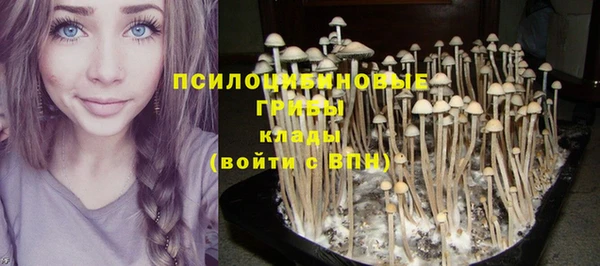 меф Бугульма