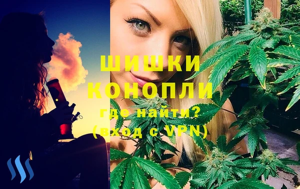 молекула духа Богородск