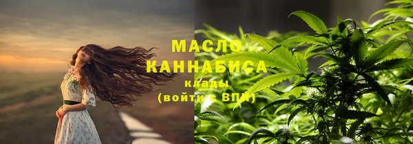 молекула духа Богородск