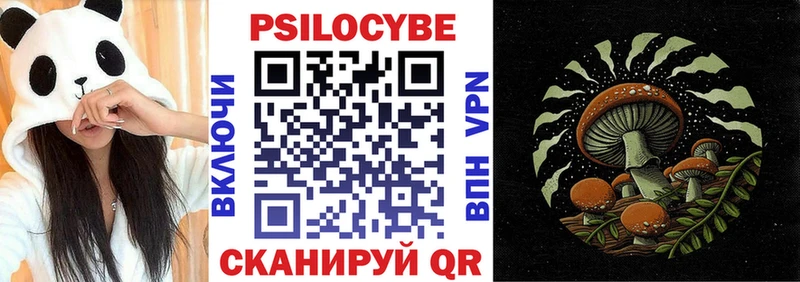 blacksprut   Михайловск  shop формула  где найти   Псилоцибиновые грибы мухоморы 
